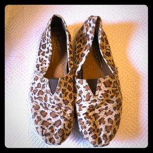 Leopard Print TOMS shoes